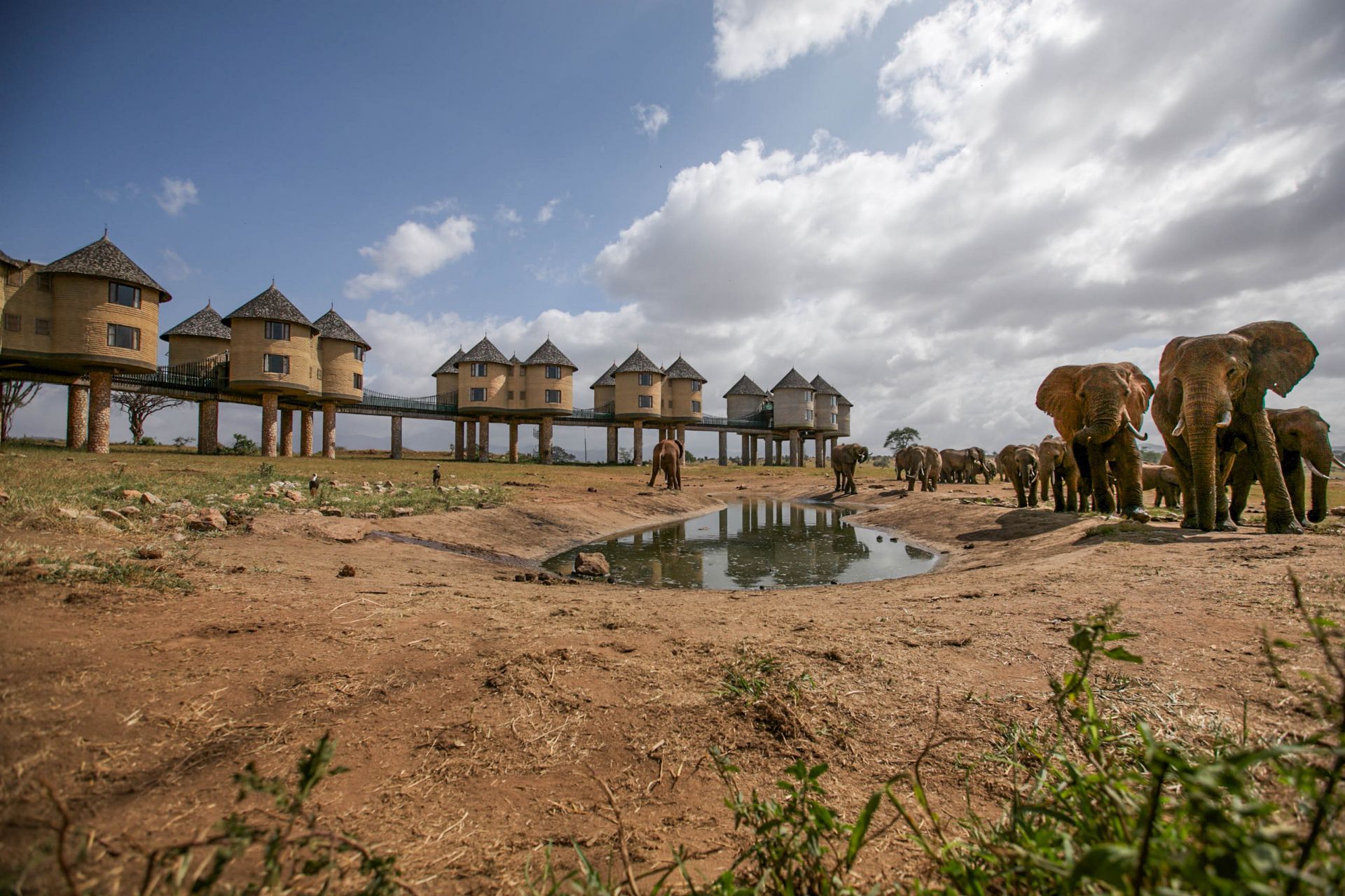 Experience the Magic of Salt Lick Safari Lodge with Polmans Holiday Tours & Travel