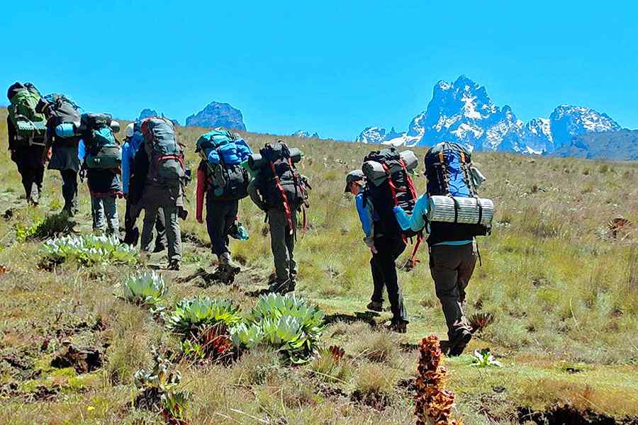Things You Should Know While Planning a Mt. Kenya Trekking Safari With Polmans Holiday Tours and Travel