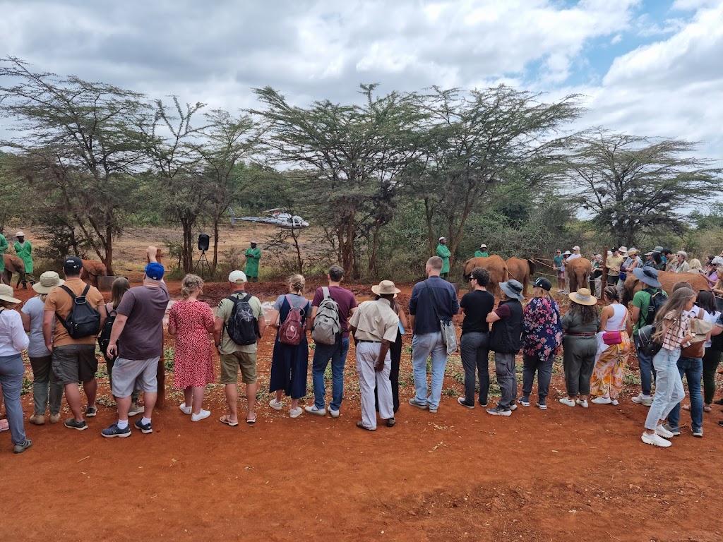 Daphne & David Sheldrick’s Elephant Animal Orphanage