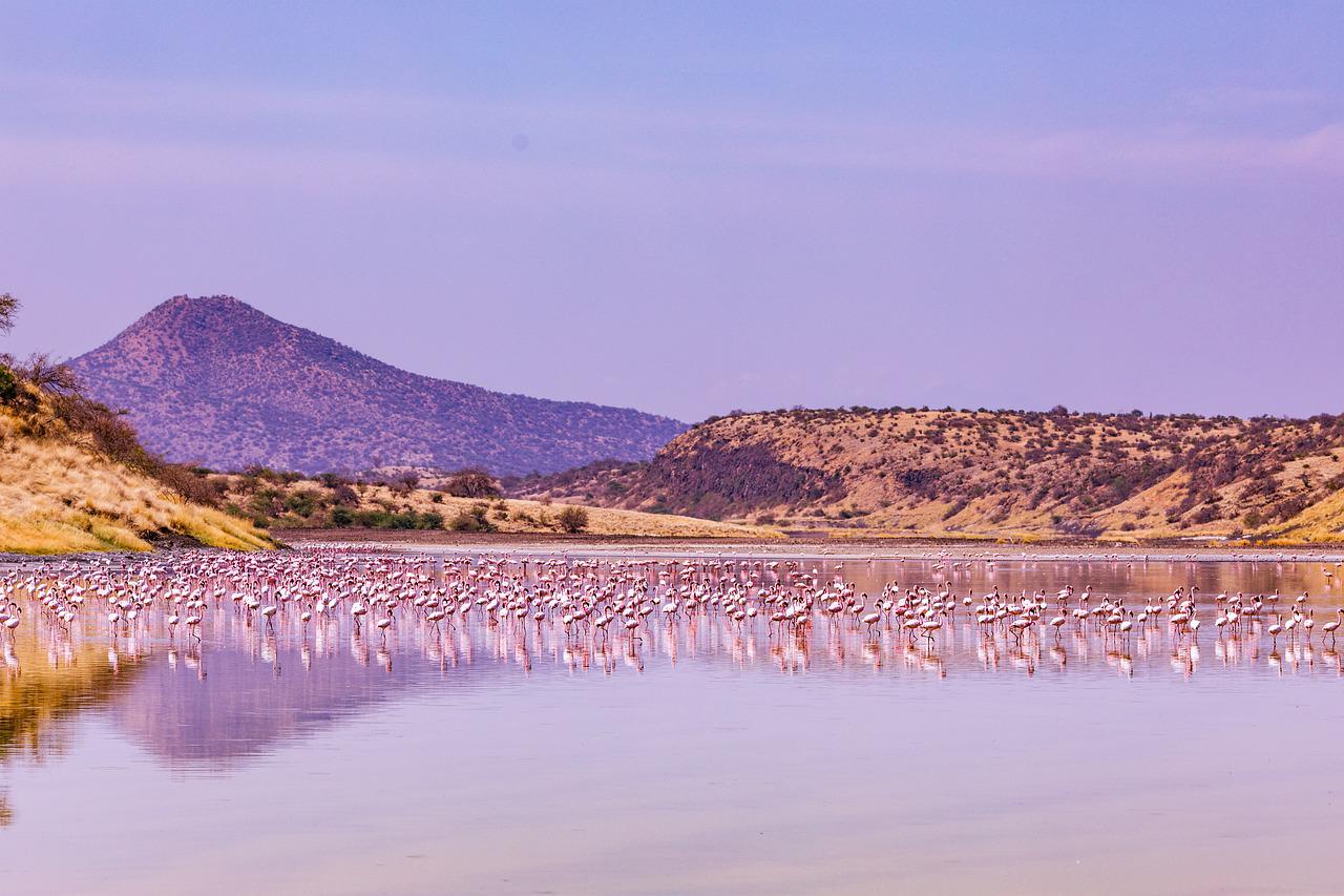 Day Trip Tour To Lake Magadi