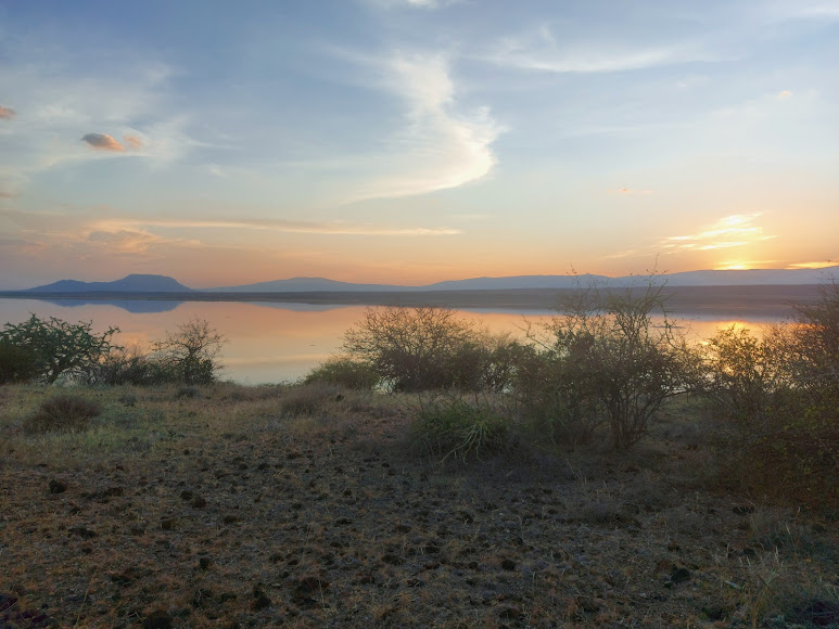 Day Trip Tour To Lake Magadi