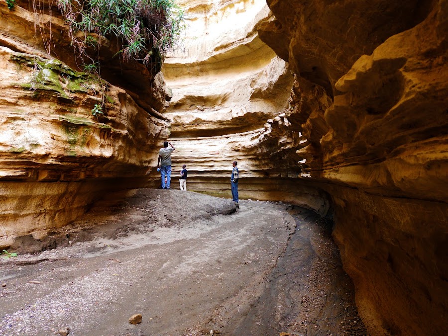 Hells Gate National Park Full Day Trip From Nairobi