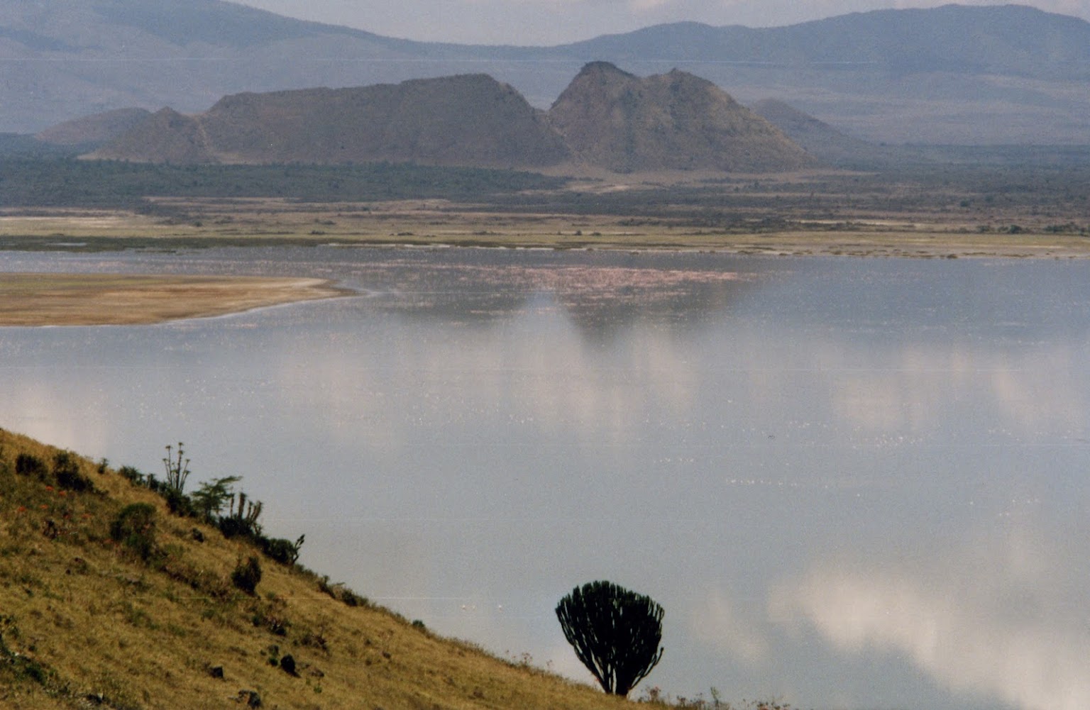 Lake Elementaita Day Trip