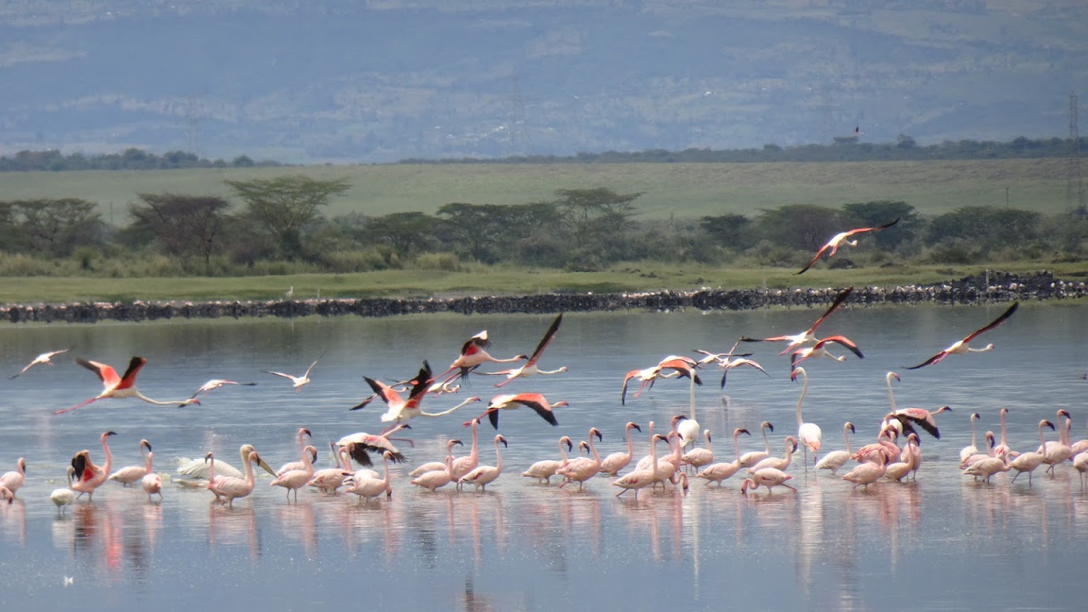 Lake Elementaita Day Trip