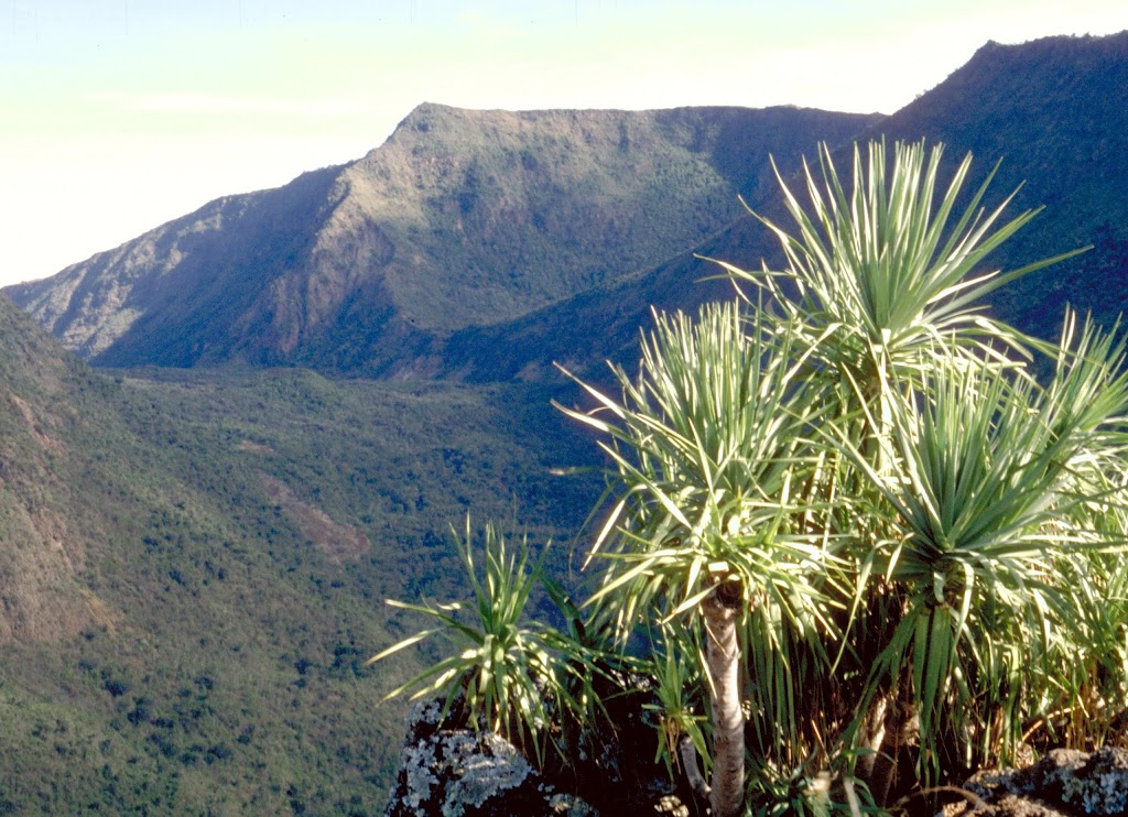 Mount Suswa Day Hike Excursion