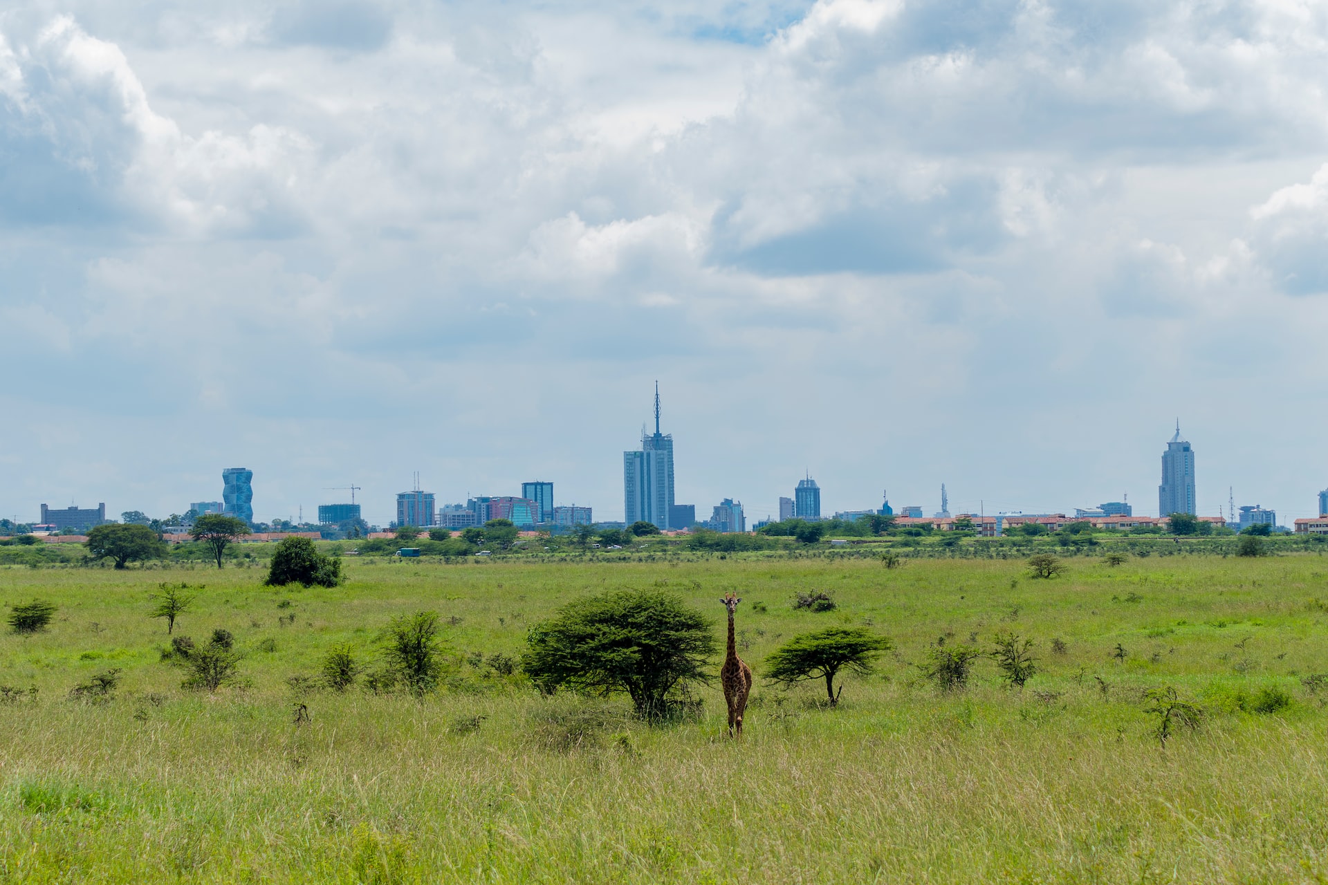 Nairobi City Walking Tour