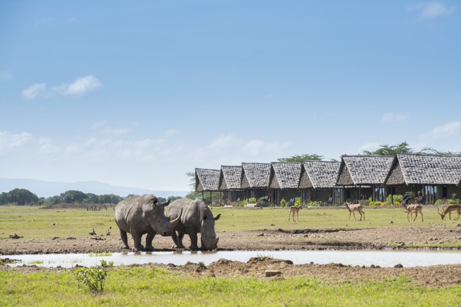 2 Days 1 Night Ol Pejeta Sweetwaters Conservancy Safari From Nairobi