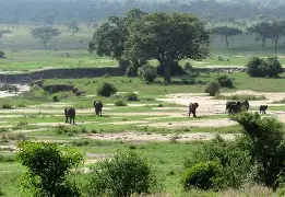 3 Days 2 Nights The path of Baobabs; Tarangire and Lake Manyara National Parks