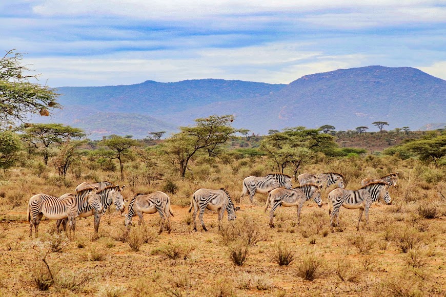 4 Days 3 Nights Aberdare & Samburu Safari