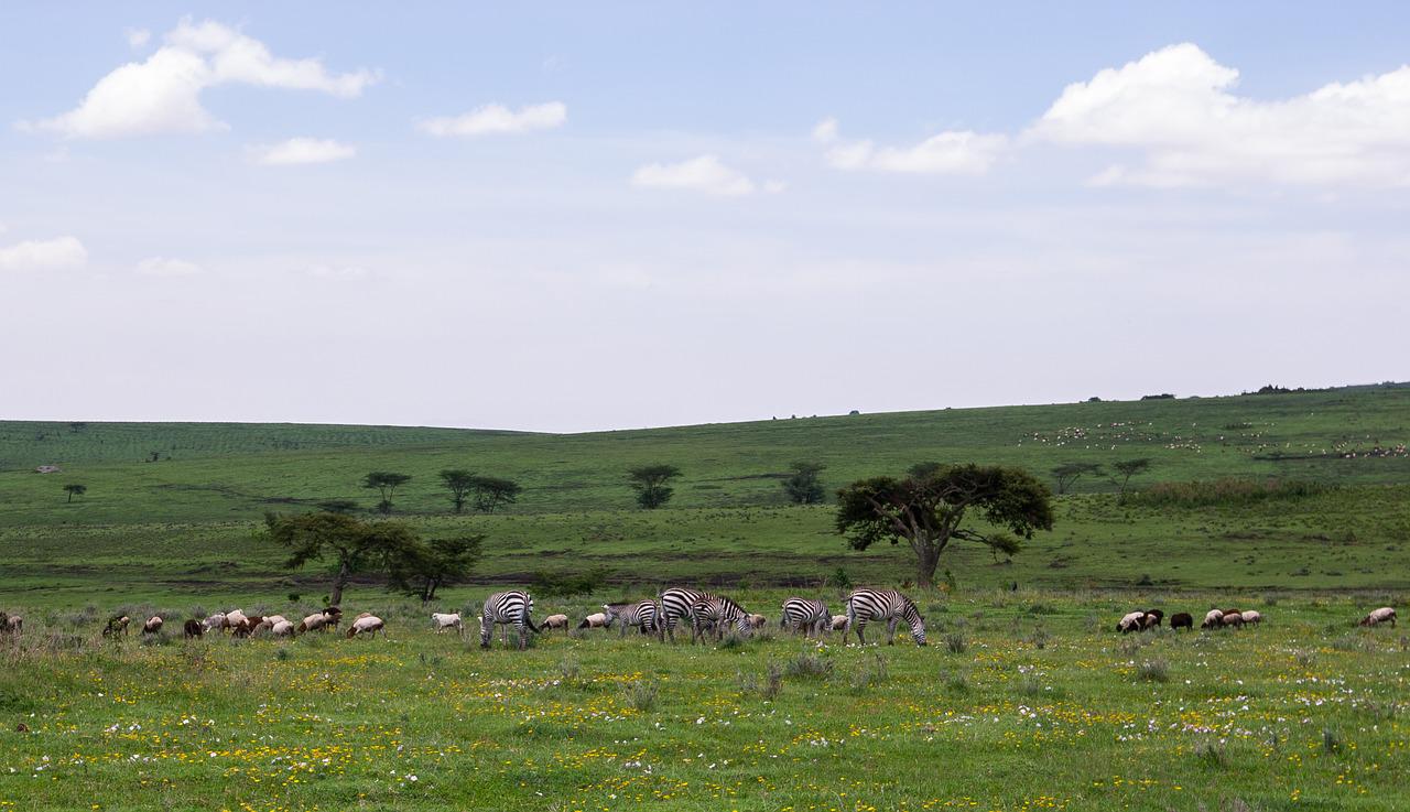 4 Days 3 Nights Amboseli, Lake Manyara & Ngorongoro Crater Tanzania Safari