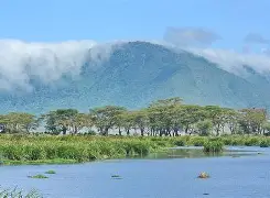 4 Days 3 Nights Touch of Wilderness; Lake Manyara N.Park or Tarangire N. Park, Serengeti N.Park, Ngorongoro Crater