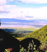 4 Days 3 Nights Touch of Wilderness; Lake Manyara N.Park or Tarangire N. Park, Serengeti N.Park, Ngorongoro Crater