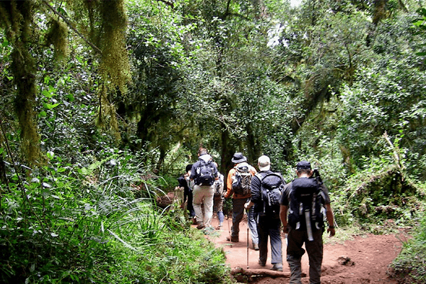 5 Days 4 Nights - Marangu Route Kilimanjaro Climb