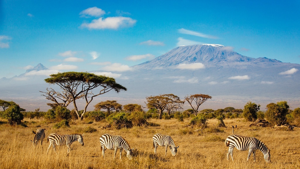 5 Days 4 Nights - Marangu Route Kilimanjaro Climb