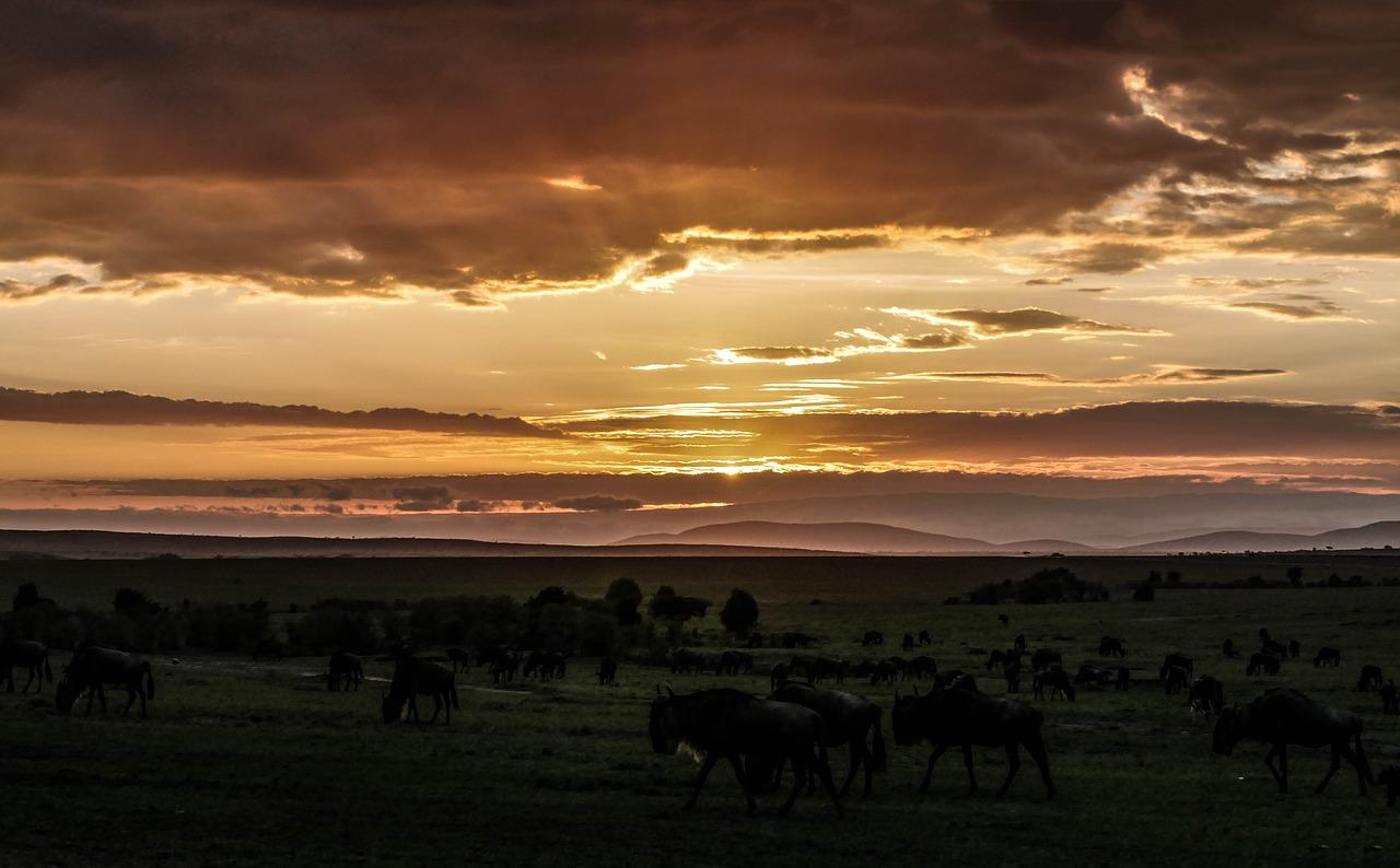 5 Days 4 Nights Nakuru – Naivasha & Masai Mara Safari