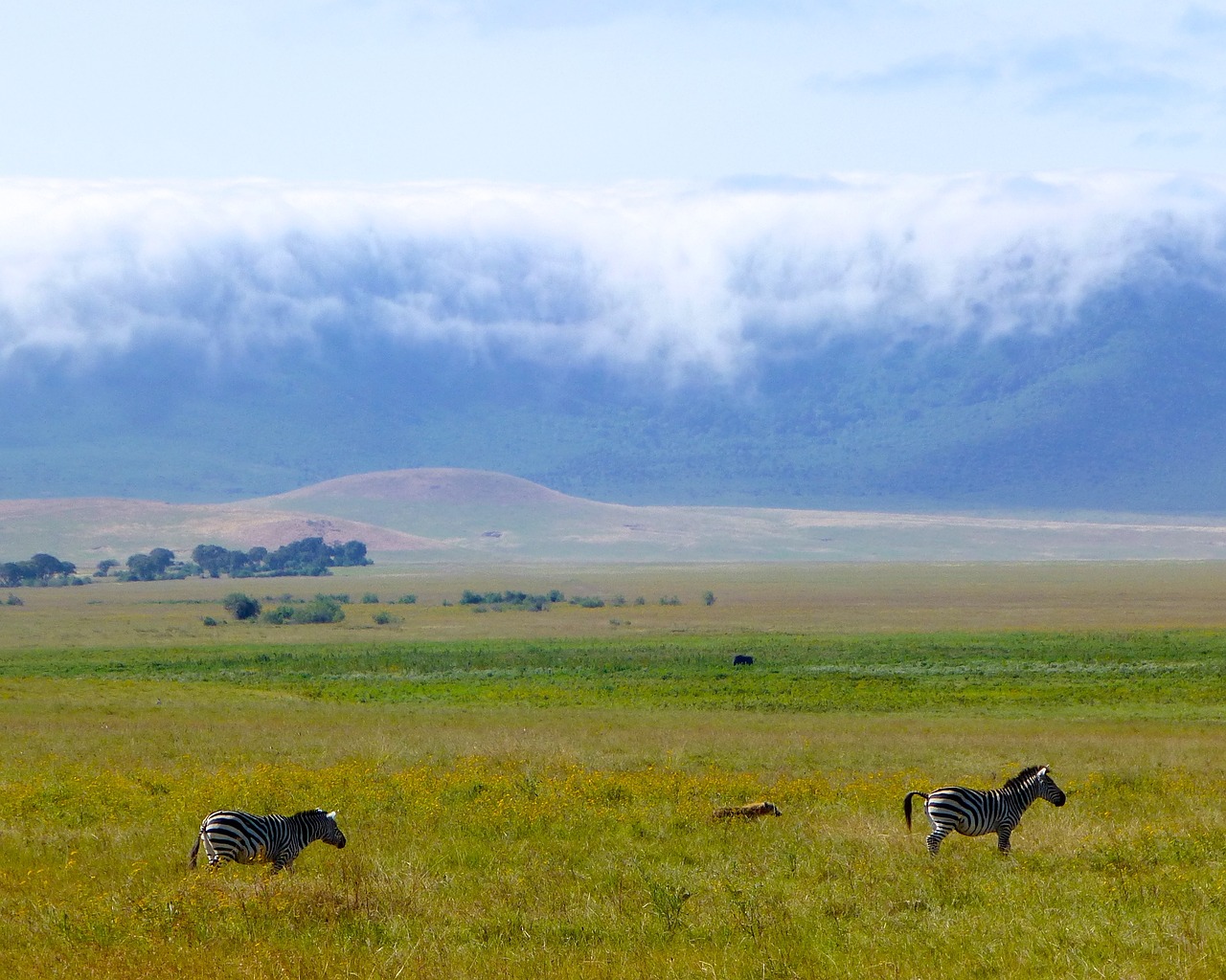 5 Days 4 Nights Ngorongoro & Serengeti National Park
