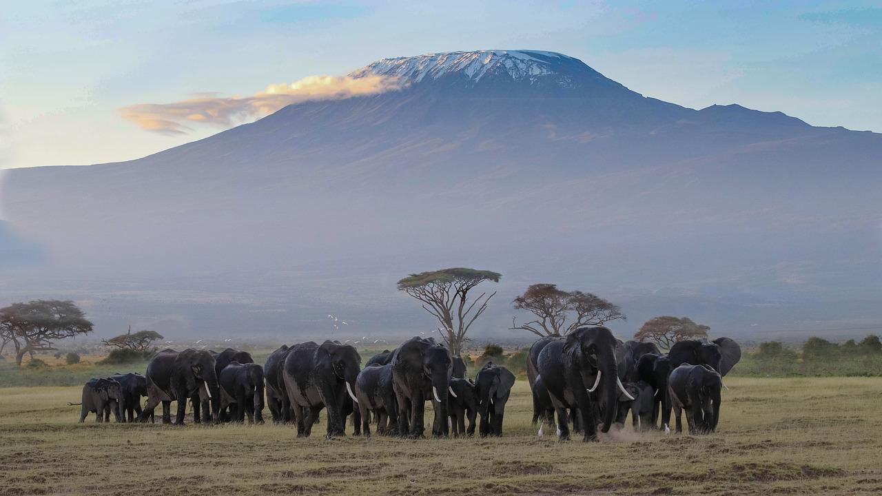 6 Days 5 Nights Amboseli – Tsavo West – Taita Hills Game Sanctuary