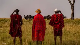 6 Days 5 Nights Highlights of Kenya and Tanzania; Maasai Mara, Serengeti, Ngorongoro