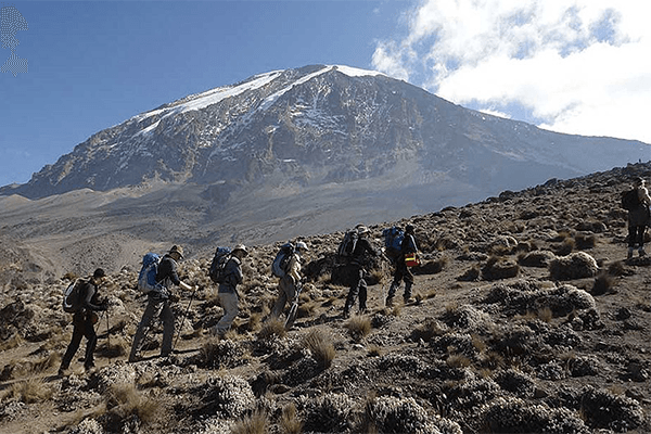 6 Days 5 Nights - Lemosho Route Kilimanjaro Climb