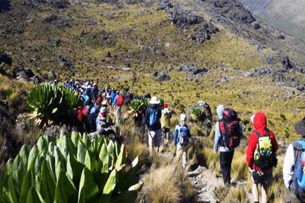 6 Days 5 Nights Mt Kenya Climbing Naromoru Chogoria Route