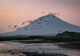 6 Days 5 Nights North Circuit Adventure; Tarangire, Serengeti, Ngorongoro, Lake Natron