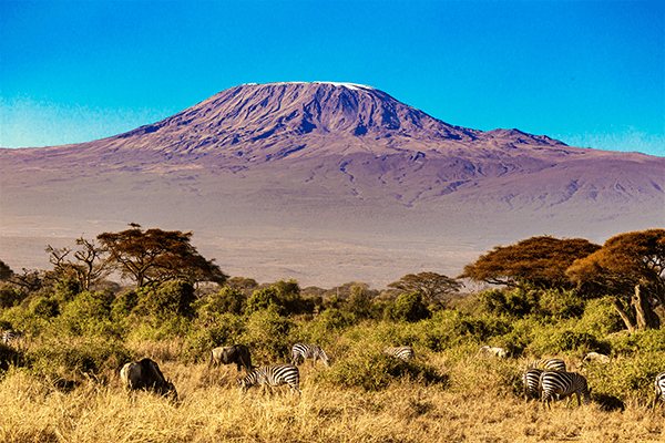 6 Days 5 Nights - Umbwe Route Kilimanjaro Climb