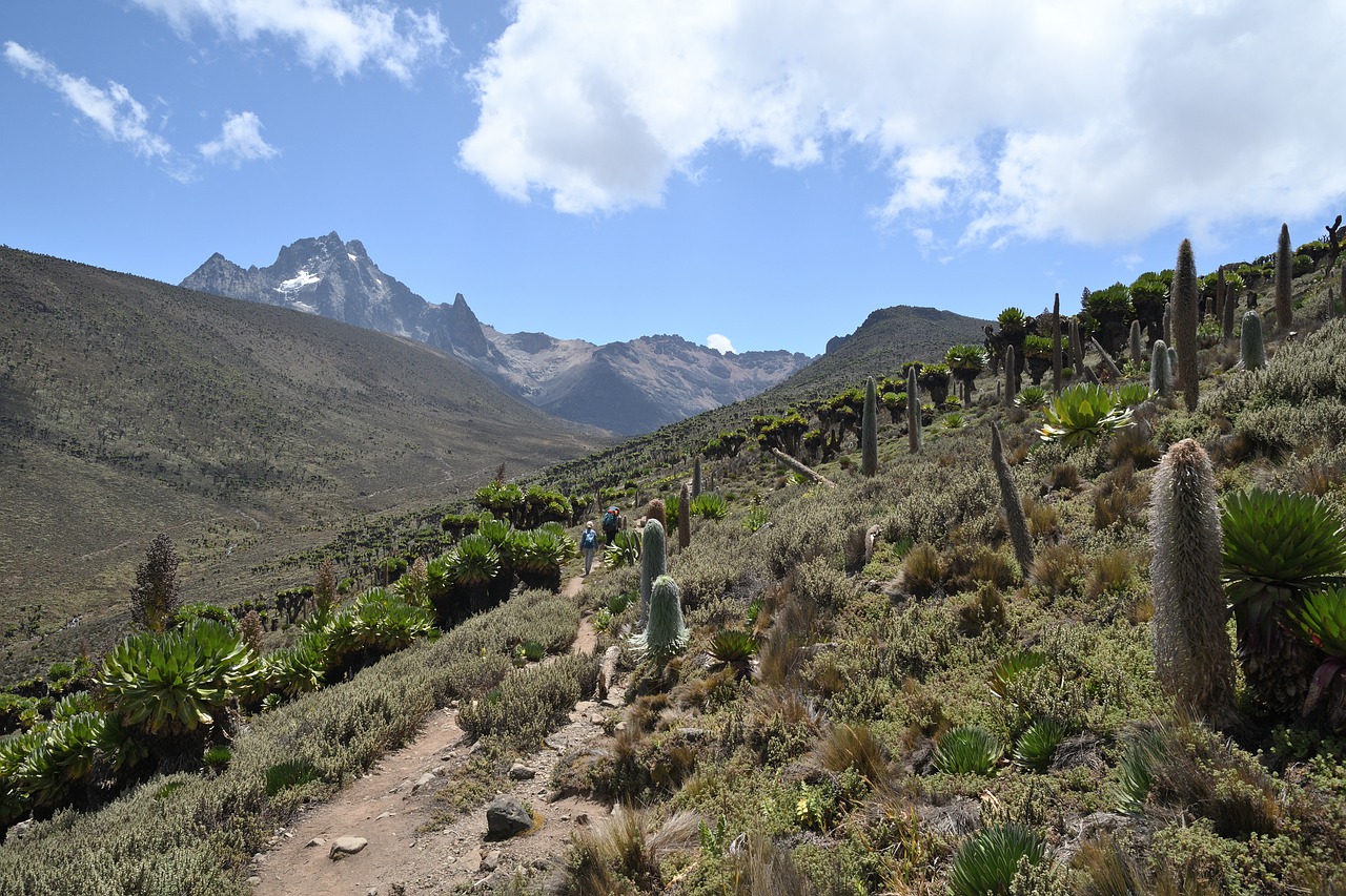 7 Days 6 Nights Mt Kenya, Samburu, Nakuru – Masai Mara – Nairobi