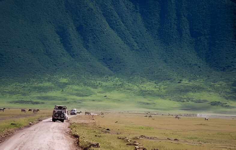 7 Days/ 6 Nights Nakuru - Masai Mara - Serengeti - Ngorongoro Crater Safari