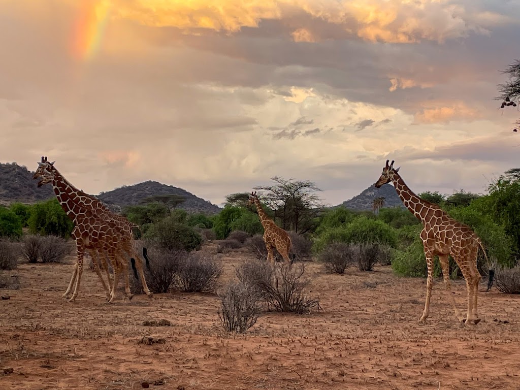 7 Days 6 Nights Samburu, Aberdares, Nakuru, Masai Mara