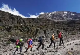 7 Days/ 6 Nights Tanzania Mt Kilimanjaro trek, lemosho route