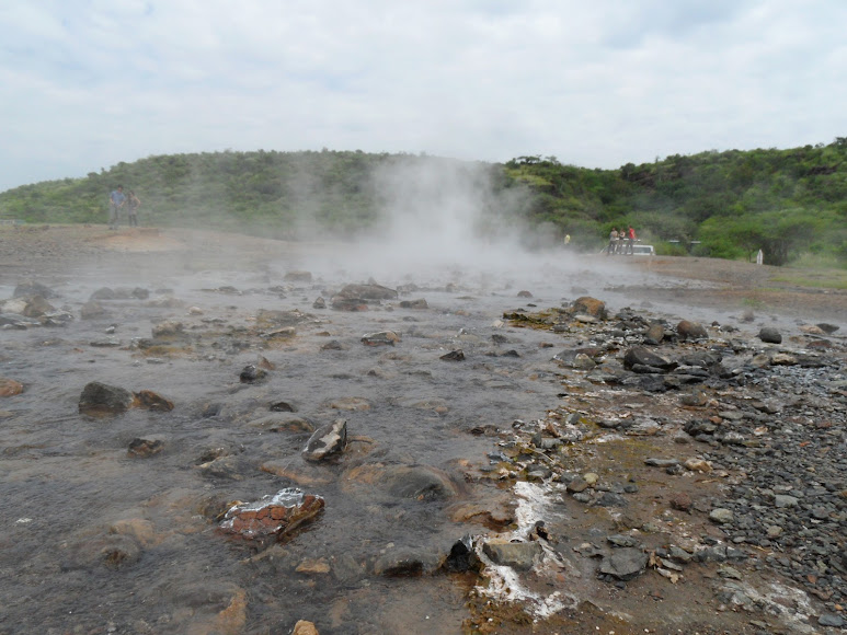 8 Days 7 Nights Samburu – Lake Baringo – Lake Bogoria – Lake Nakuru Safari – Lake Naivasha And Maasai Mara