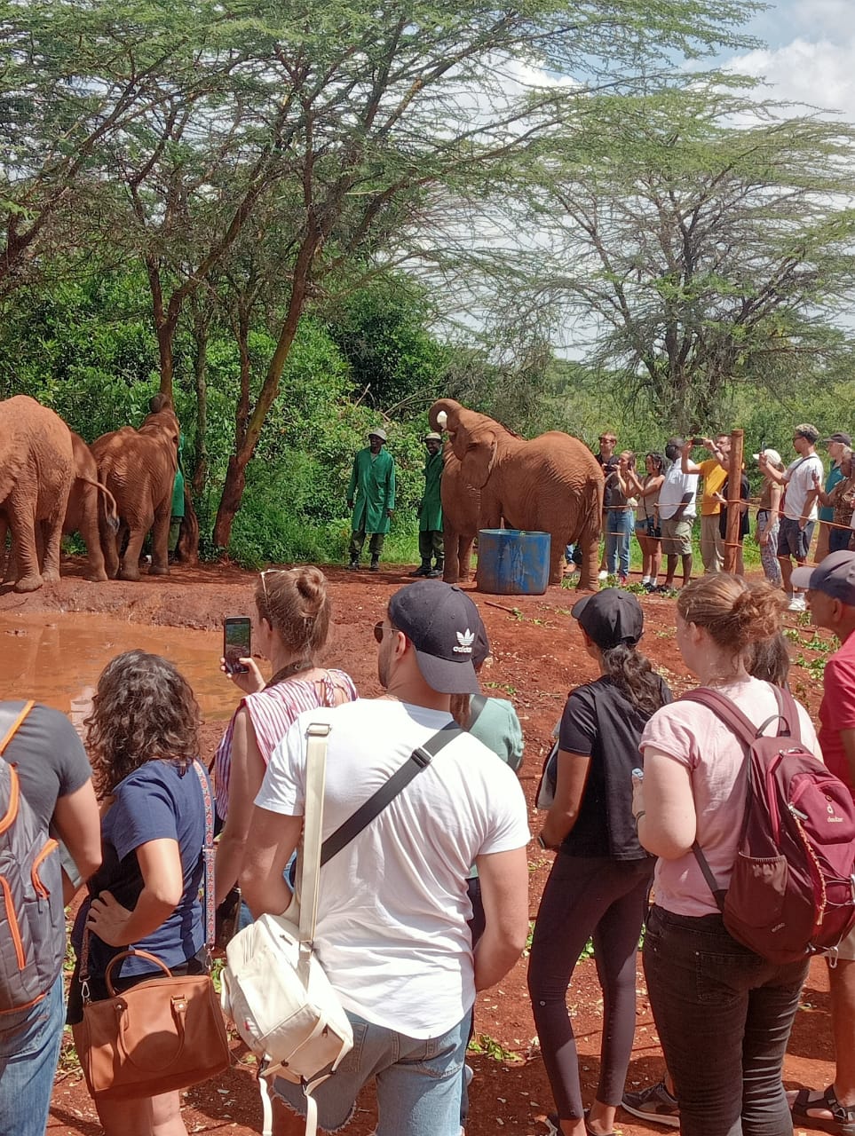 8 Days 7 Nights Wonders of Kenya & Tanzania; Maasai Mara, Serengeti, Ngorongoro